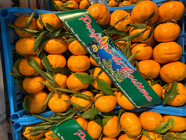 Mandarini cal. 2-3 Origine Campania , prezzo 1,90-2 euro al chilo